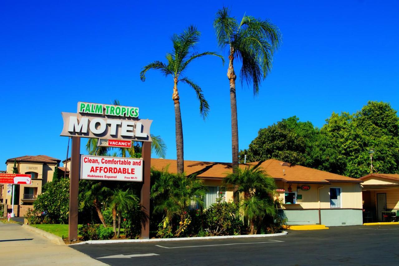 Palm Tropics Motel เกลนโดรา ภายนอก รูปภาพ